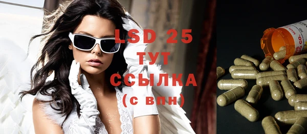 спиды Вязьма