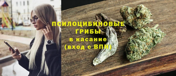 спиды Вязьма